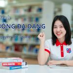 Viện Đào tạo Quốc tế (Niie)