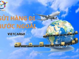 VietCargo – Đơn vị vận chuyển hàng hóa quốc tế uy tín, chuyên nghiệp