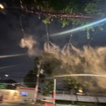 z5206267602198_059ff70928fd21e242ca8c08490a76a7