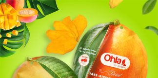 Khám phá thế giới hương vị với sản phẩm trái cây sấy dẻo