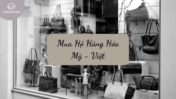 mua-ho-hang-hoa-my-viet