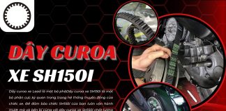 Dây curoa xe SH150i