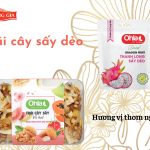 trái cây sấy dẻo (1)