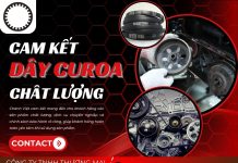 Chánh Việt (CHV) – Đối tác tin cậy trong ngành dây curoa công nghiệp chất lượng cao