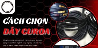 Cách chọn dây curoa phù hợp giúp tối ưu hiệu suất cùng Chánh Việt