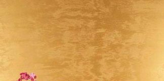 Giới Thiệu Các Mẫu Sơn Hiệu Ứng Bê Tông Từ Gindecor: Giải Pháp Cho Không Gian Đầy Mới Mẻ