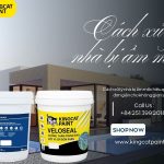 Cách xử lý nhà bị ẩm mốc hiệu quả – Giải pháp đơn giản cho không gian sống sạch đẹp!
