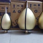 Kim thu sét phòng điện sớm