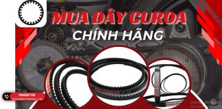 Chánh Việt – Nhà Phân Phối Dây Curoa Răng Chính Xác Cao Phục Vụ Ngành Chế Biến Và Cơ Giới Hóa Nông Nghiệp