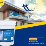 3892cabbea3b6165382a