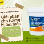 e450e93bf8bb73e52aaa (1)