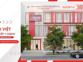 Bảng giá cáp điện CADIVI mới nhất của Đại Việt