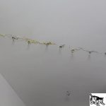 Những lưu ý khi xử lý trần nhà bị nứt