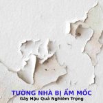 tuong-nha-bi-am-moc-gay-ra-nhung-hau-qua-nghiem-trong