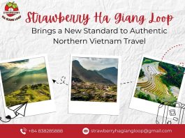 Strawberry Ha Giang Loop Brings a New Standard to Authentic Northern Vietnam Travel