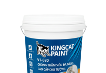 Kingcatpaint mang đến giải pháp sơn nước chống thấm toàn diện cho công trình Việt