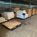 Cân sàn điện tử chính hãng2